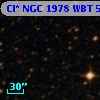Cl* NGC 1978    WBT    5031
