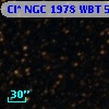 Cl* NGC 1978    WBT    5032