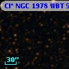 Cl* NGC 1978    WBT    5033
