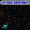 Cl* NGC 1978    WBT    5034