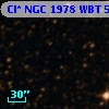 Cl* NGC 1978    WBT    5035