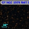 Cl* NGC 1978    WBT    5036