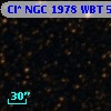 Cl* NGC 1978    WBT    5038