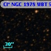 Cl* NGC 1978    WBT    5041