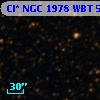 Cl* NGC 1978    WBT    5047