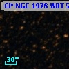 Cl* NGC 1978    WBT    5049