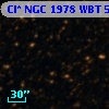 Cl* NGC 1978    WBT    5050