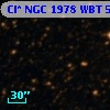 Cl* NGC 1978    WBT    5051