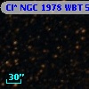 Cl* NGC 1978    WBT    5061