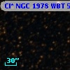 Cl* NGC 1978    WBT    5064