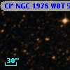 Cl* NGC 1978    WBT    5074