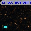 Cl* NGC 1978    WBT    5075