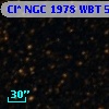 Cl* NGC 1978    WBT    5083