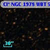 Cl* NGC 1978    WBT    5089