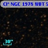 Cl* NGC 1978    WBT    5099