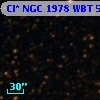 Cl* NGC 1978    WBT    5100