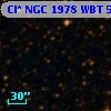 Cl* NGC 1978    WBT    5104