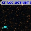 Cl* NGC 1978    WBT    5112
