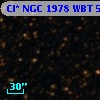 Cl* NGC 1978    WBT    5129