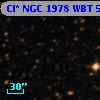 Cl* NGC 1978    WBT    5131