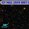 Cl* NGC 1978    WBT    5132