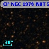 Cl* NGC 1978    WBT    5139