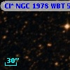 Cl* NGC 1978    WBT    5155