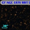 Cl* NGC 1978    WBT    5163