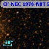 Cl* NGC 1978    WBT    5165