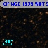 Cl* NGC 1978    WBT    5167