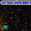 Cl* NGC 1978    WBT    5172
