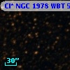 Cl* NGC 1978    WBT    5174