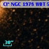 Cl* NGC 1978    WBT    5175