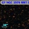 Cl* NGC 1978    WBT    5176