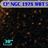 Cl* NGC 1978    WBT    5183