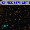 Cl* NGC 1978    WBT    5185