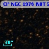 Cl* NGC 1978    WBT    5186