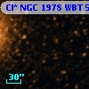 Cl* NGC 1978    WBT    5189