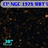 Cl* NGC 1978    WBT    5191