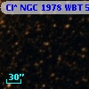 Cl* NGC 1978    WBT    5195