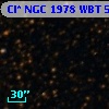Cl* NGC 1978    WBT    5198