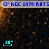 Cl* NGC 1978    WBT    5200