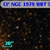 Cl* NGC 1978    WBT    5205