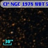Cl* NGC 1978    WBT    5207