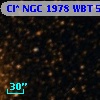Cl* NGC 1978    WBT    5211
