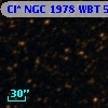 Cl* NGC 1978    WBT    5217