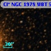 Cl* NGC 1978    WBT    5219