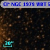 Cl* NGC 1978    WBT    5220