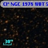 Cl* NGC 1978    WBT    5226