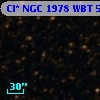 Cl* NGC 1978    WBT    5230